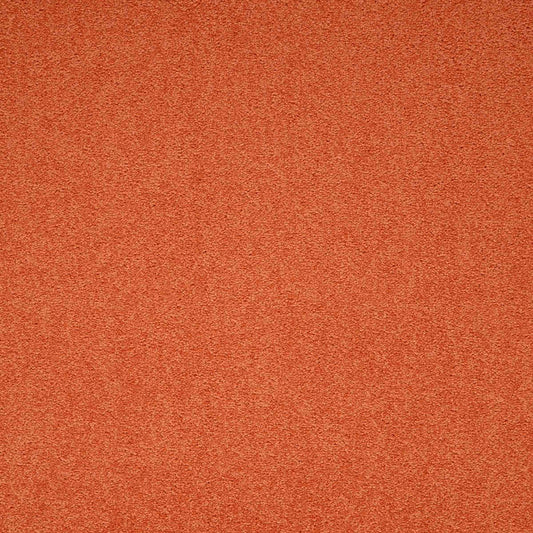 Maestro Auburn Falls carpet tile