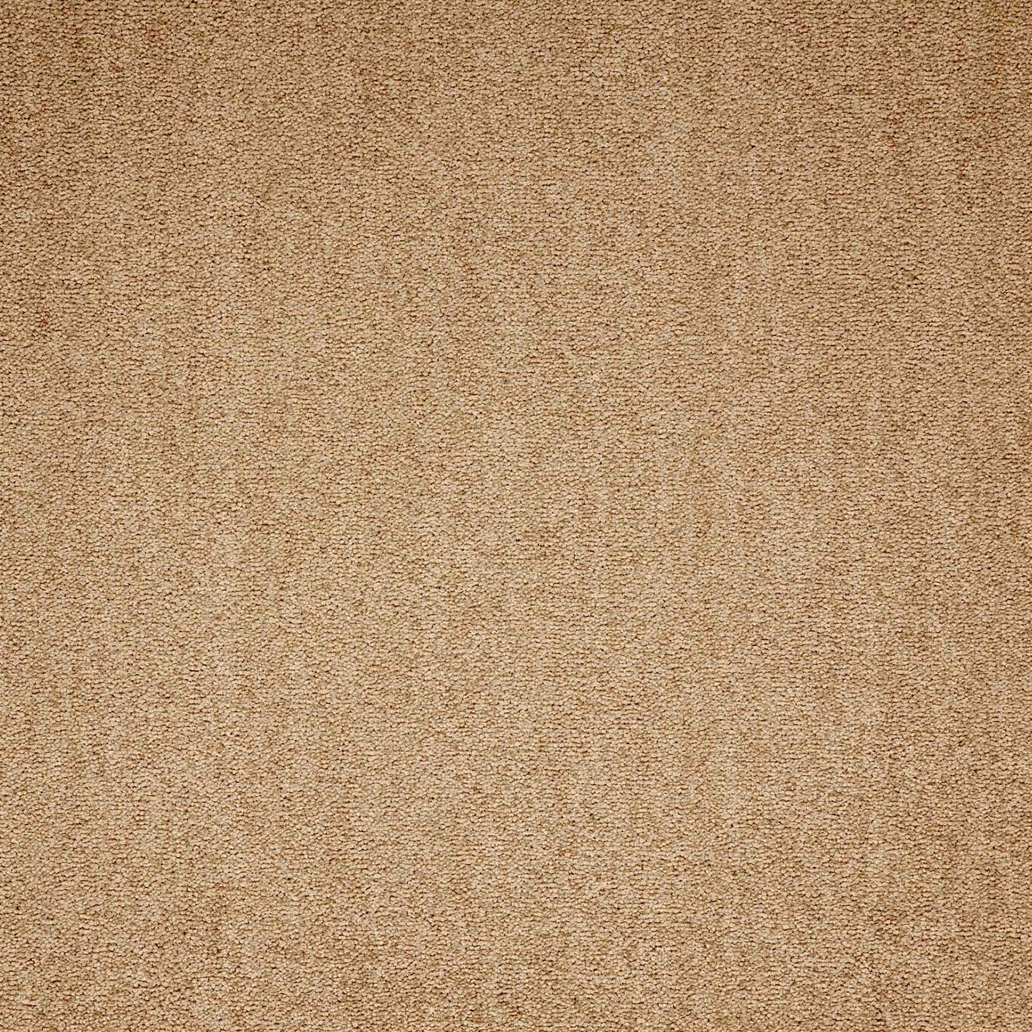 Maestro Beige carpet tile