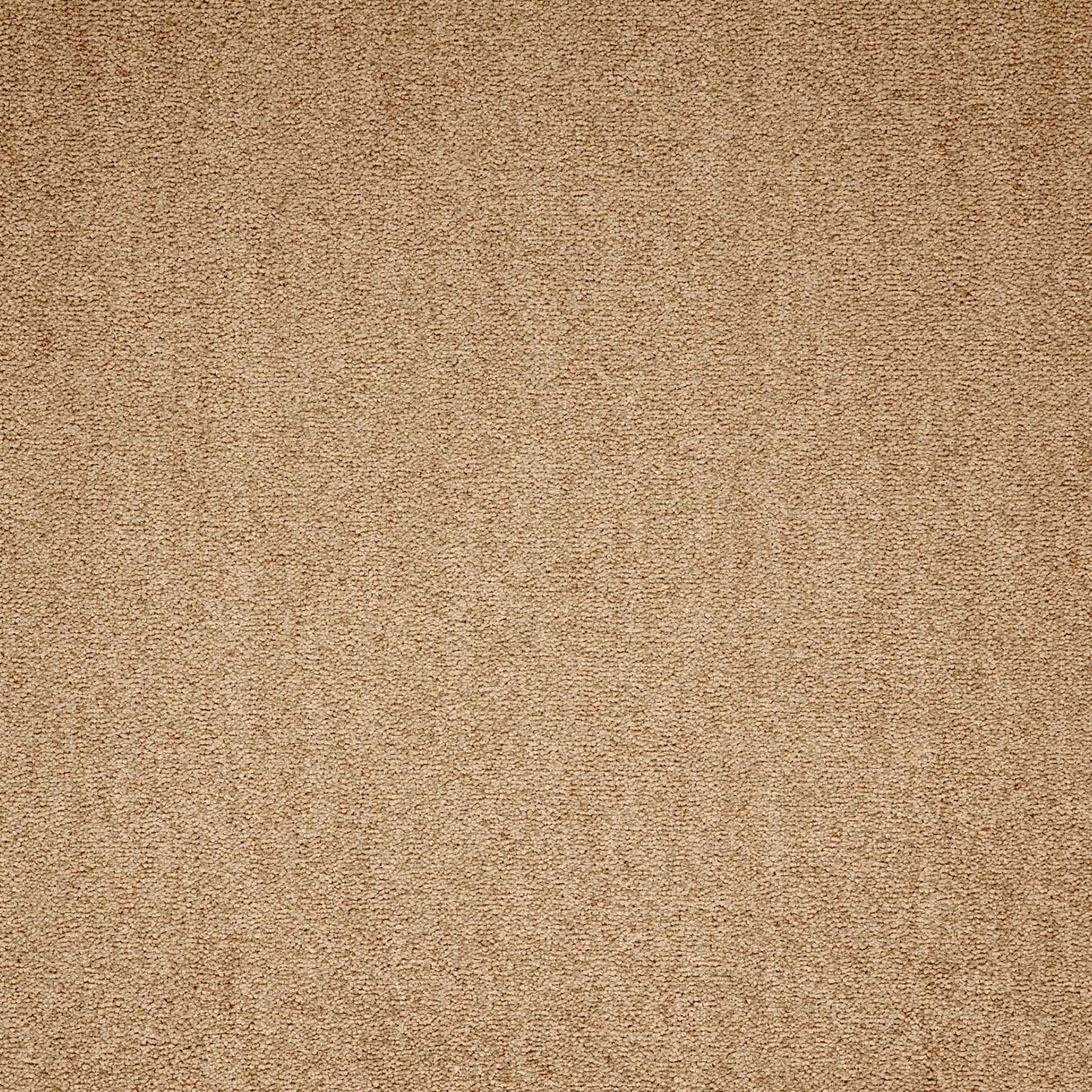 Maestro Beige carpet tile