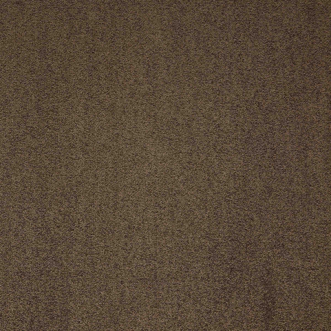 Maestro Cocoa Blush carpet tile