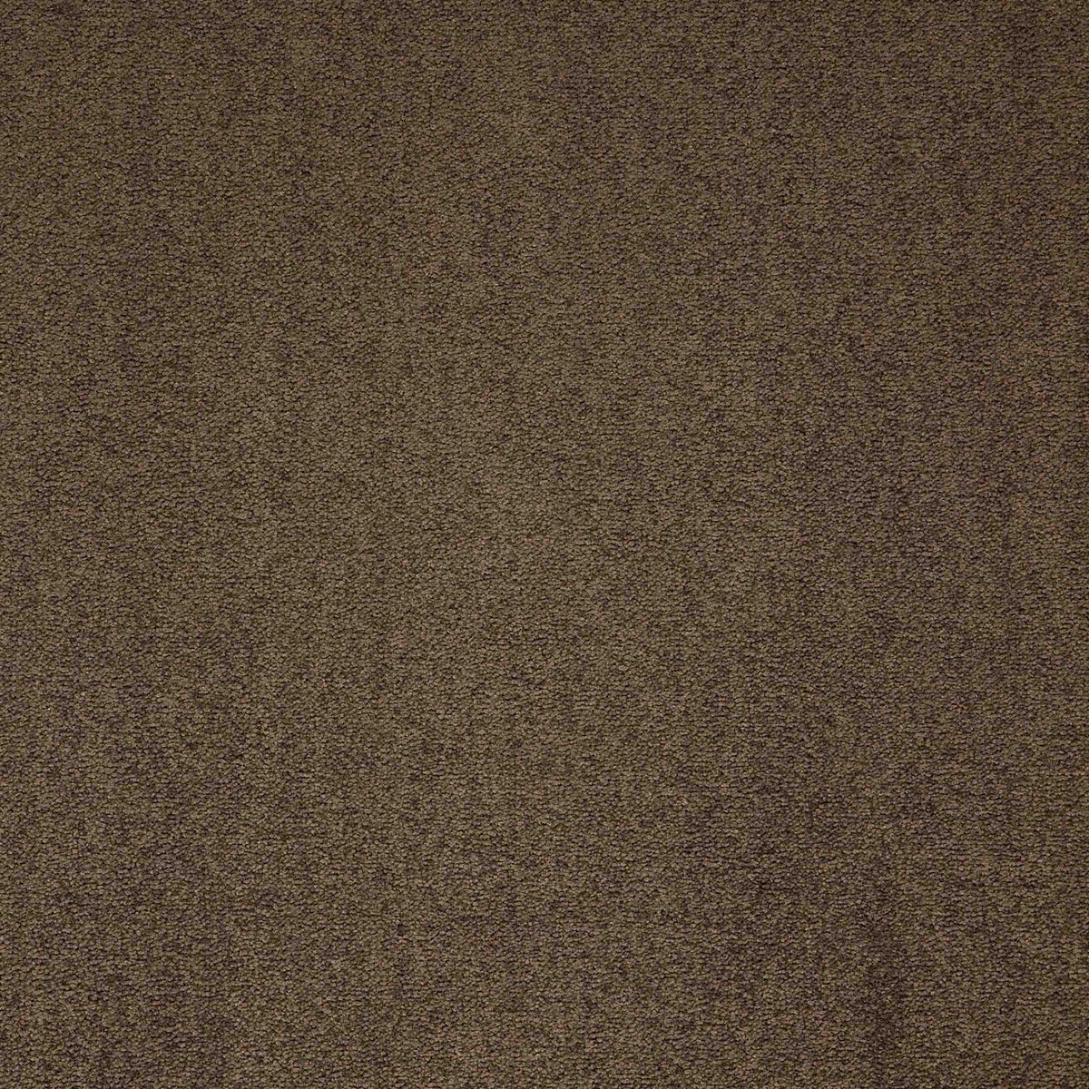 Maestro Cocoa Blush carpet tile