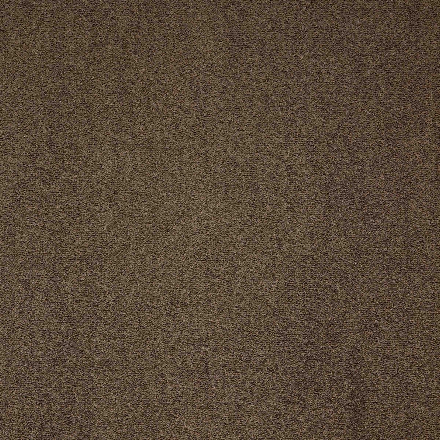 Maestro Cocoa Blush carpet tile