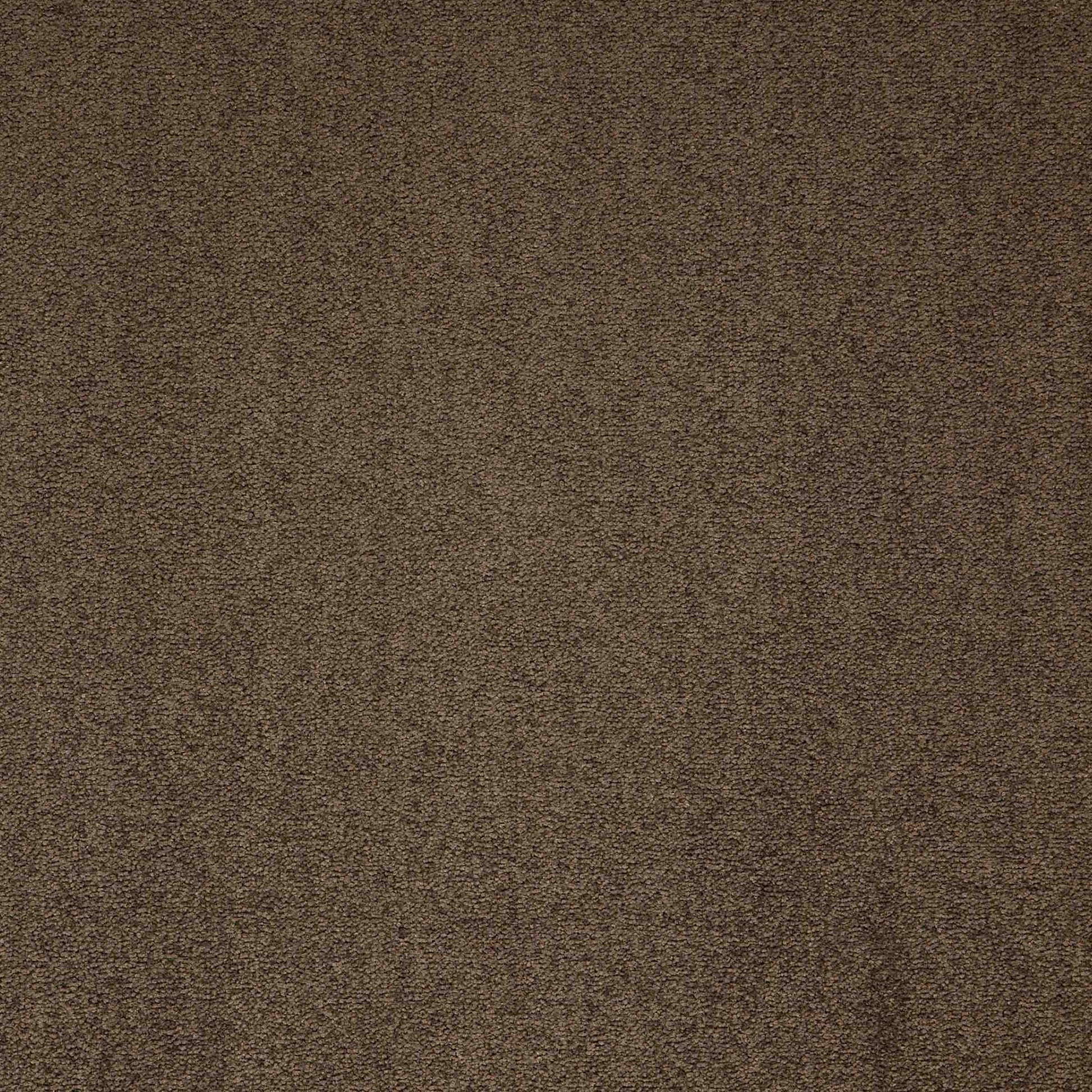 Maestro Cocoa Blush carpet tile
