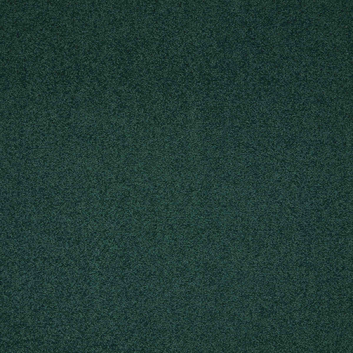 Maestro Dark Green carpet tile