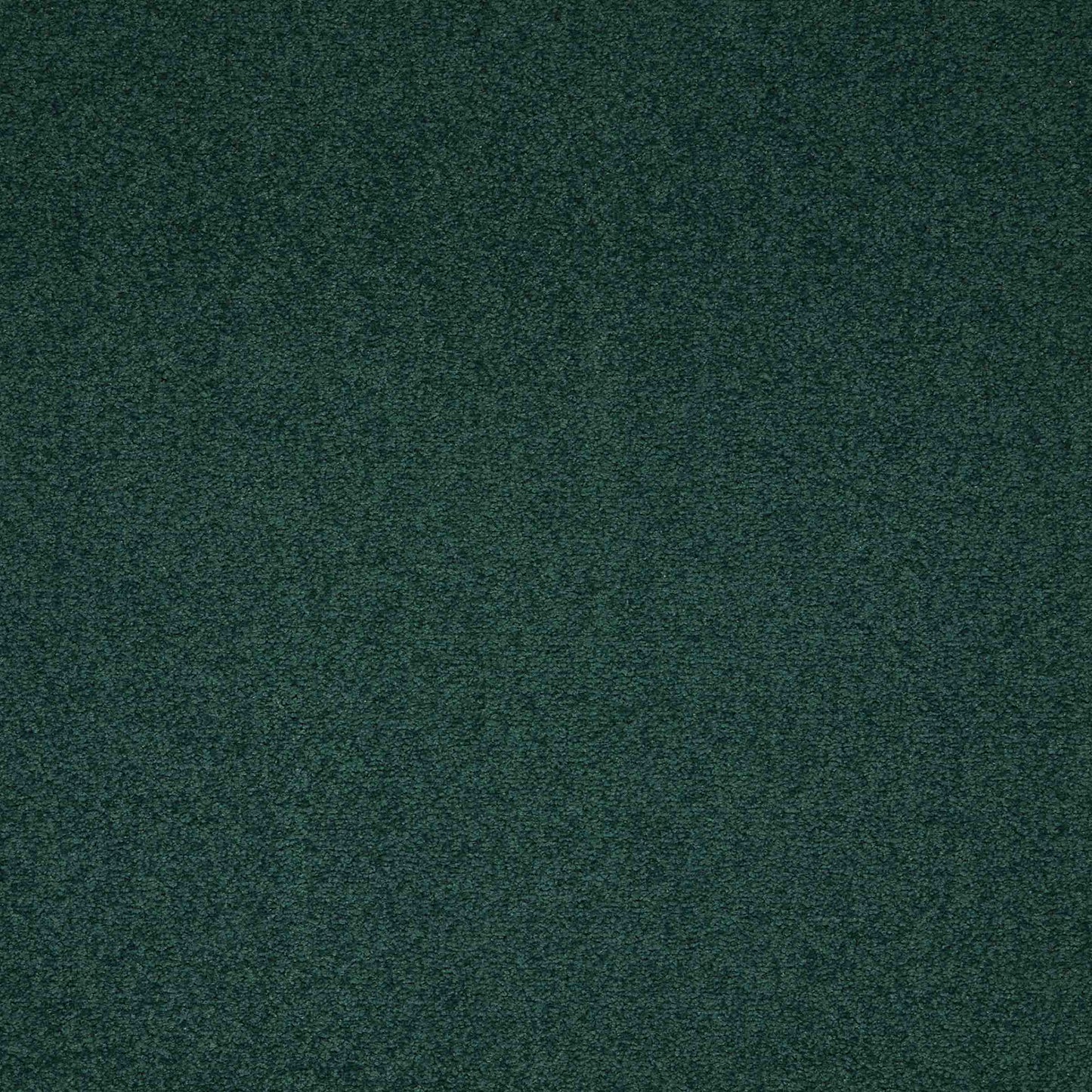 Maestro Dark Green carpet tile