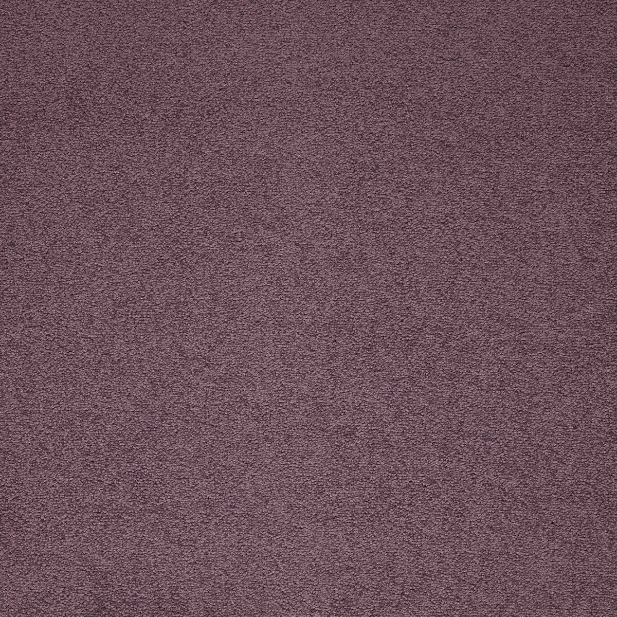 Maestro Dusty Pink carpet tile