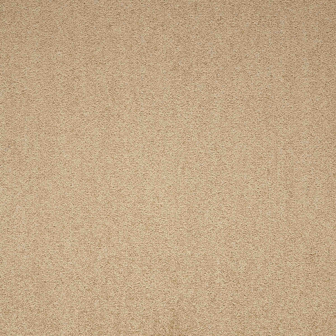 Maestro Earth Glaze carpet tile