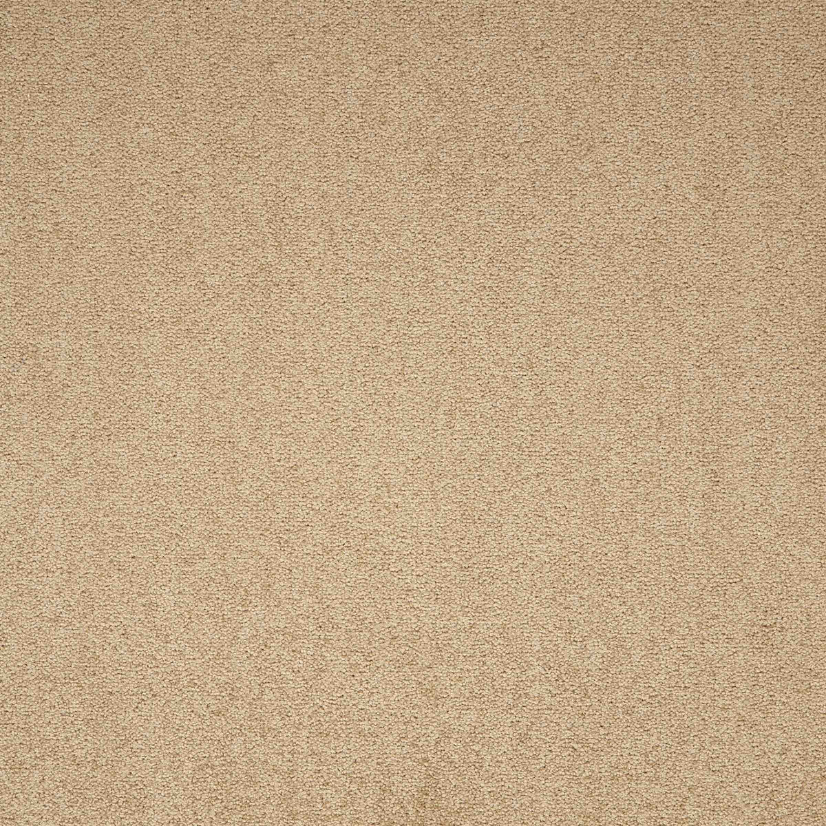Maestro Earth Glaze carpet tile