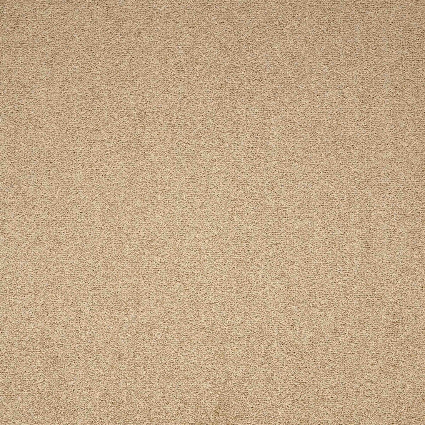 Maestro Earth Glaze carpet tile