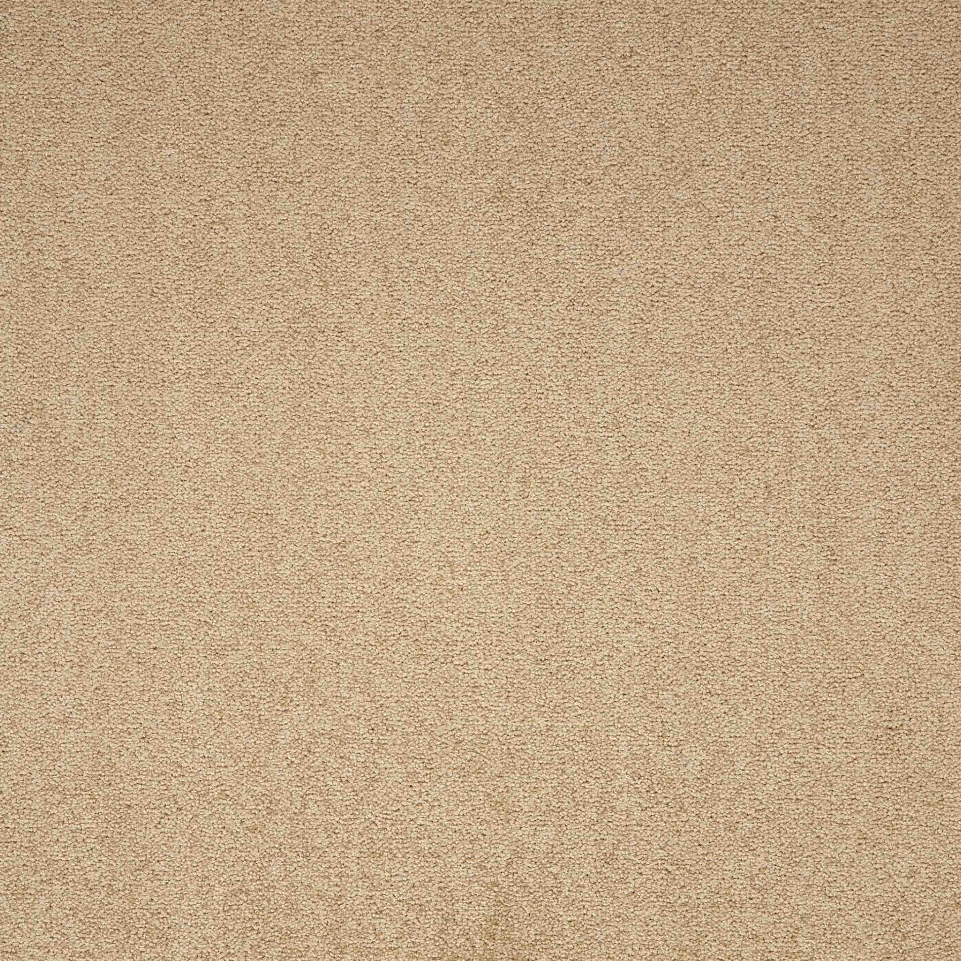 Maestro Earth Glaze carpet tile