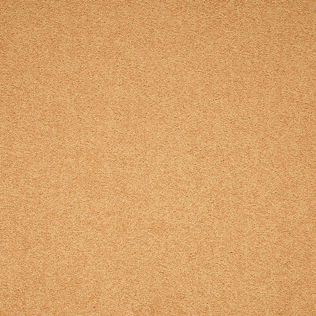 Maestro Gold carpet tile