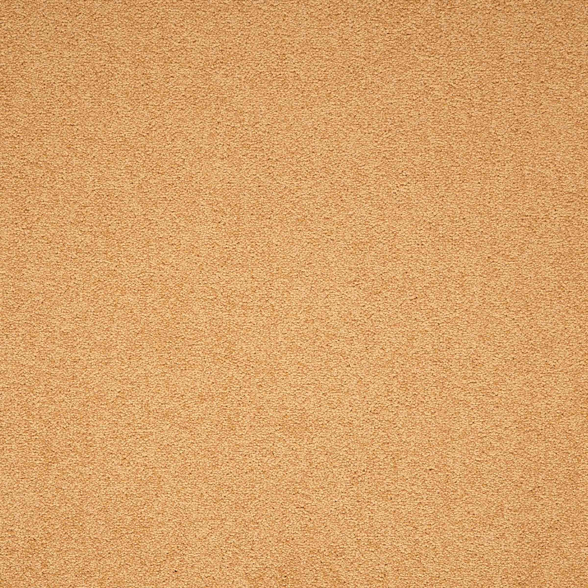 Maestro Gold carpet tile