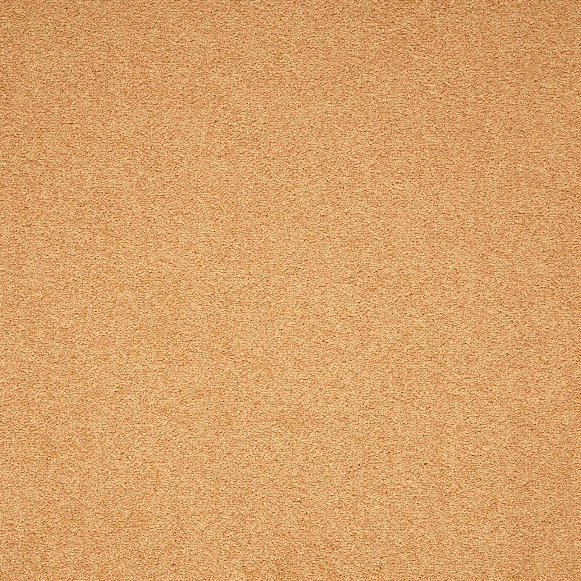 Maestro Gold carpet tile