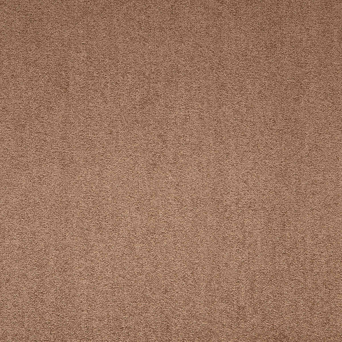 Maestro Sunflower Symphony carpet tile