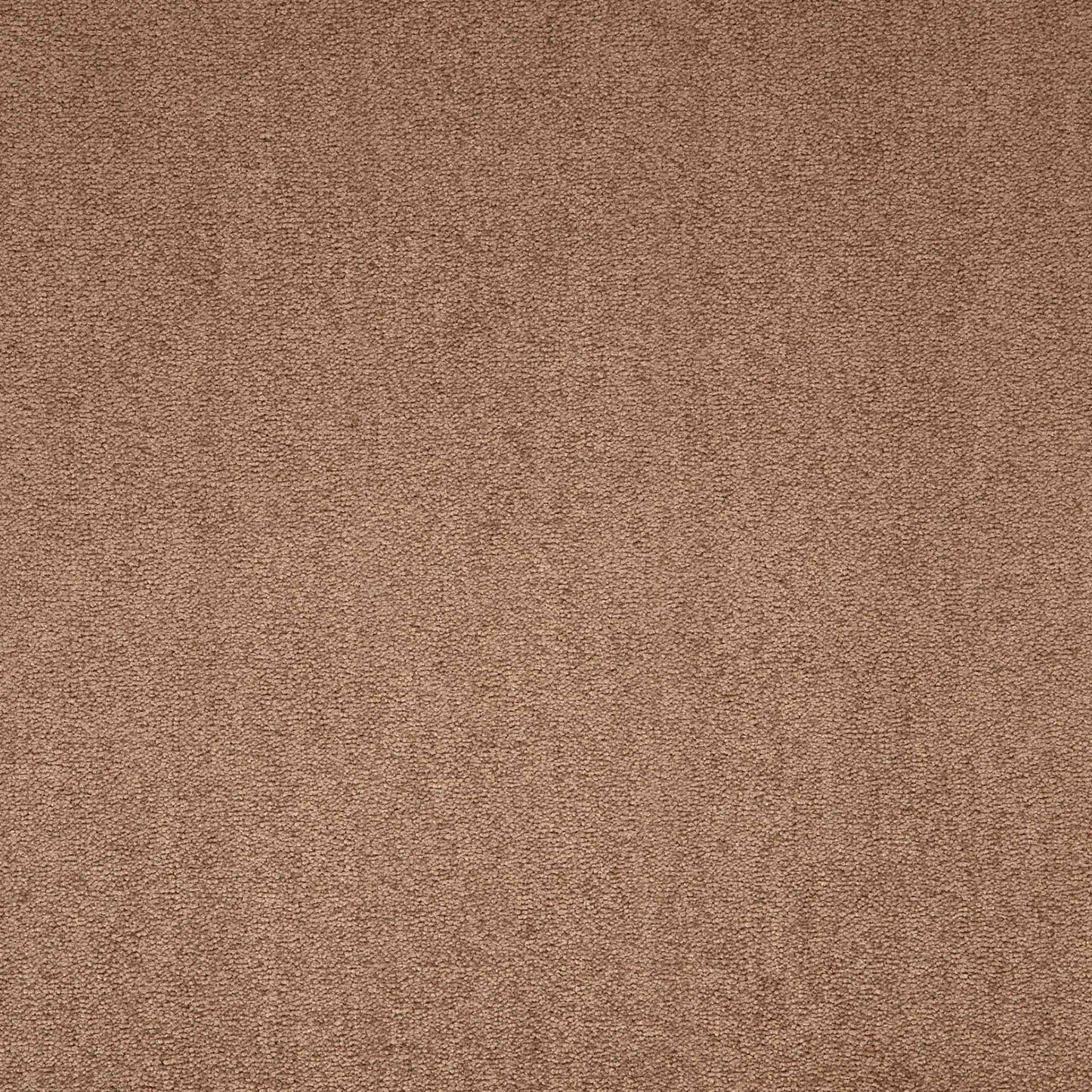 Maestro Sunflower Symphony carpet tile