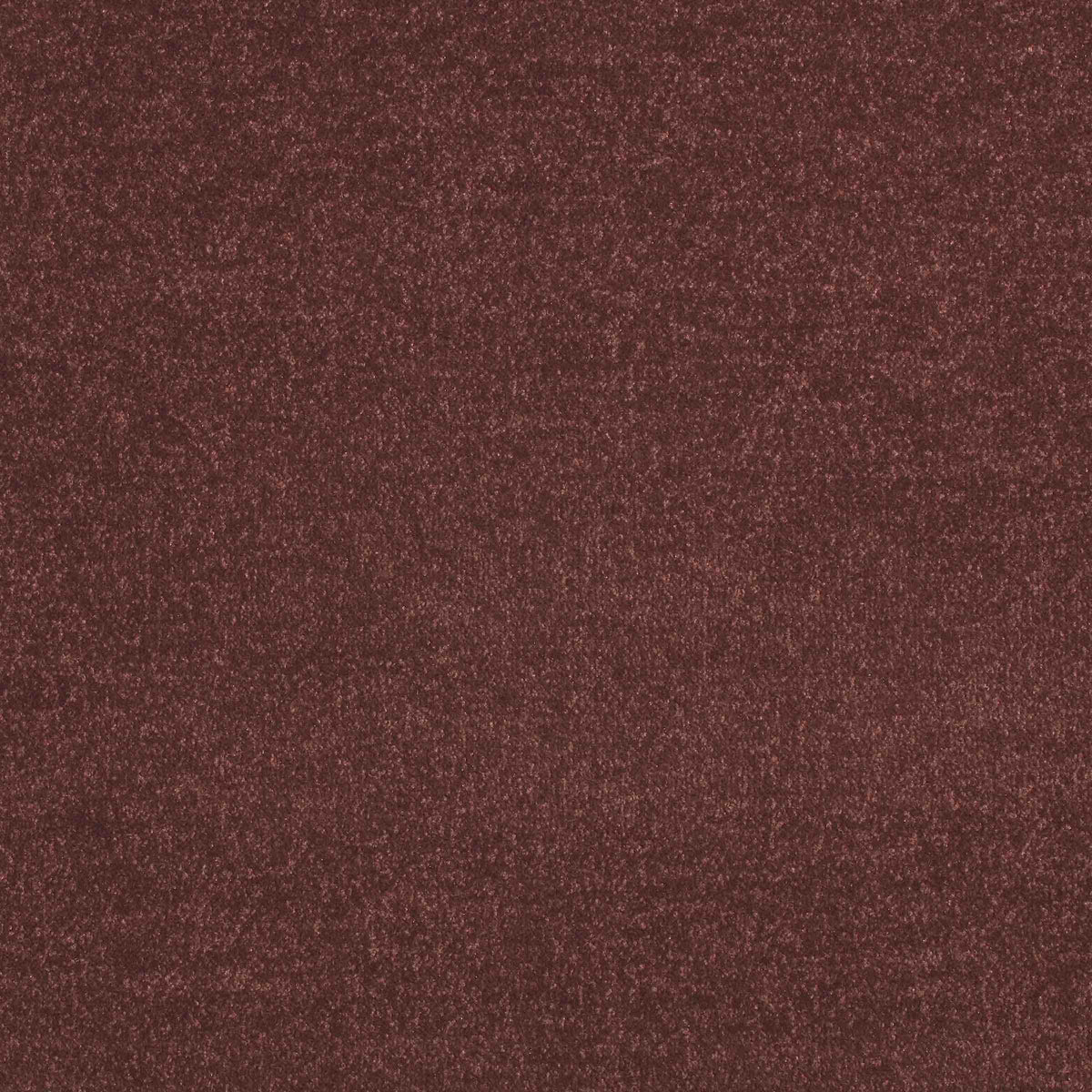 Maestro Sycamore carpet tile