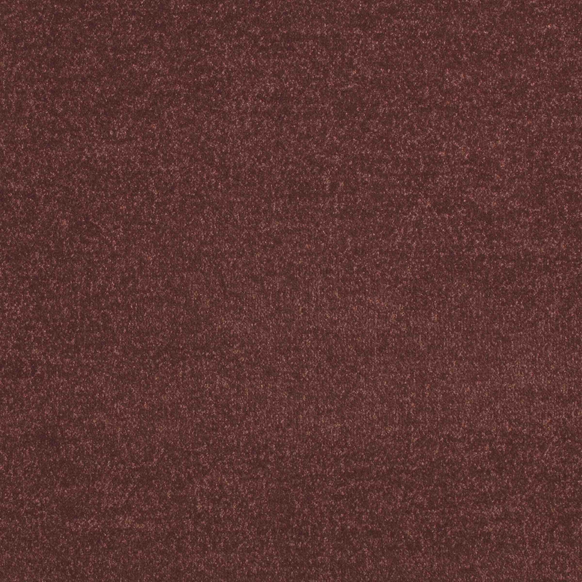 Maestro Sycamore carpet tile