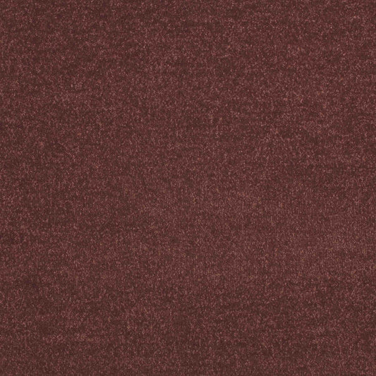 Maestro Sycamore carpet tile