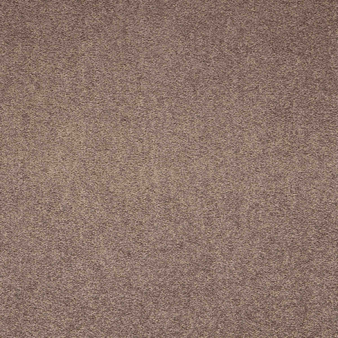 Maestro Velvet Truffle carpet tile