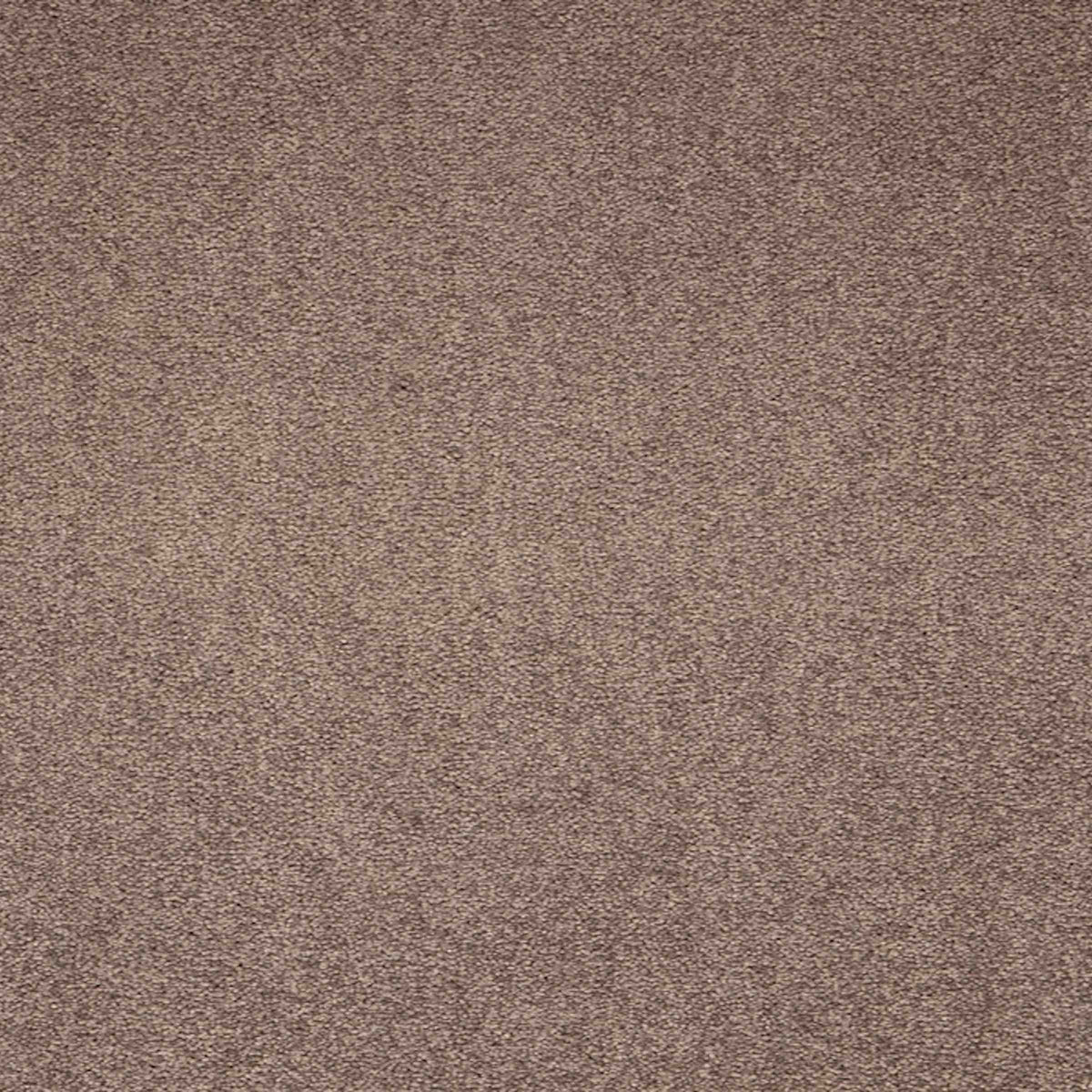 Maestro Velvet Truffle carpet tile