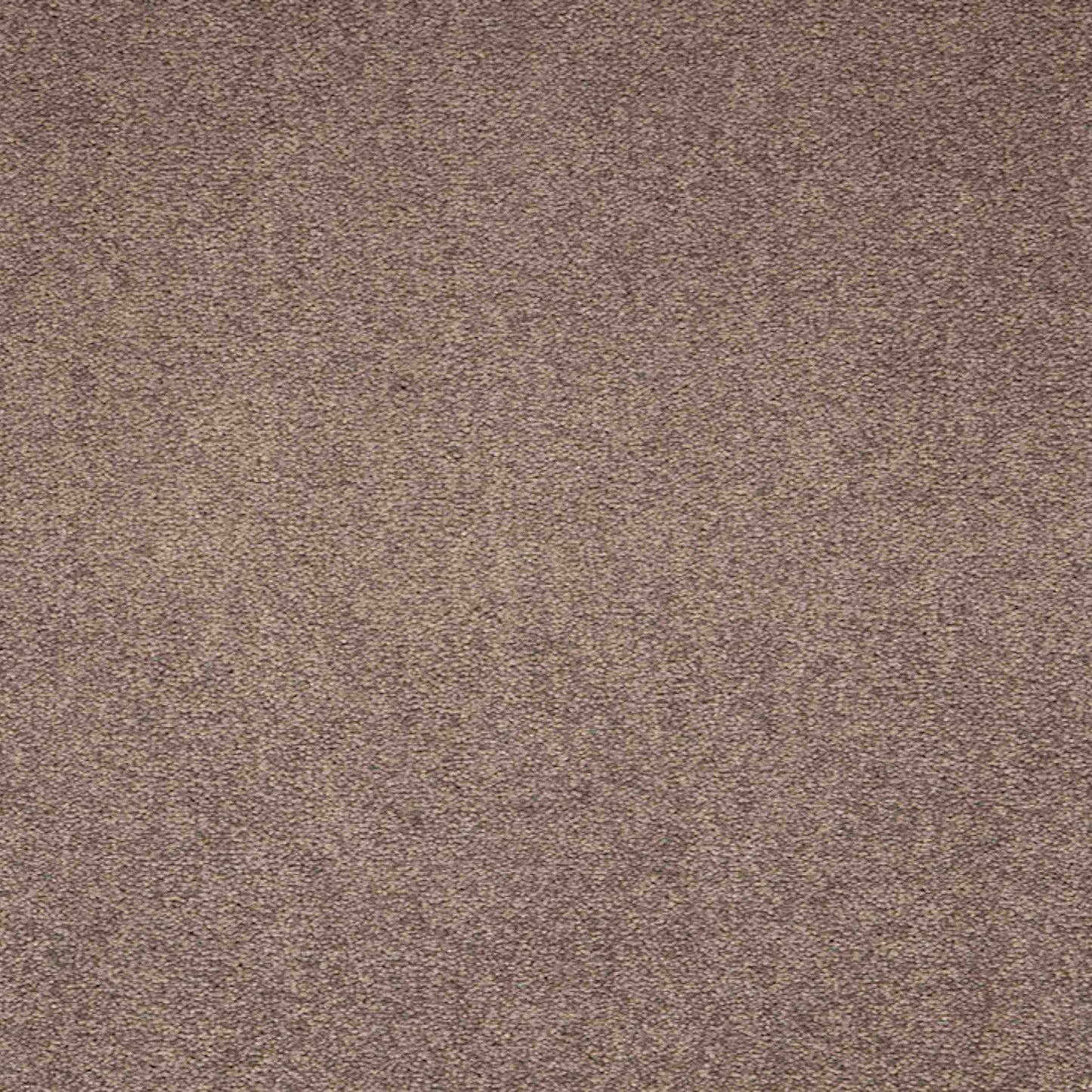 Maestro Velvet Truffle carpet tile