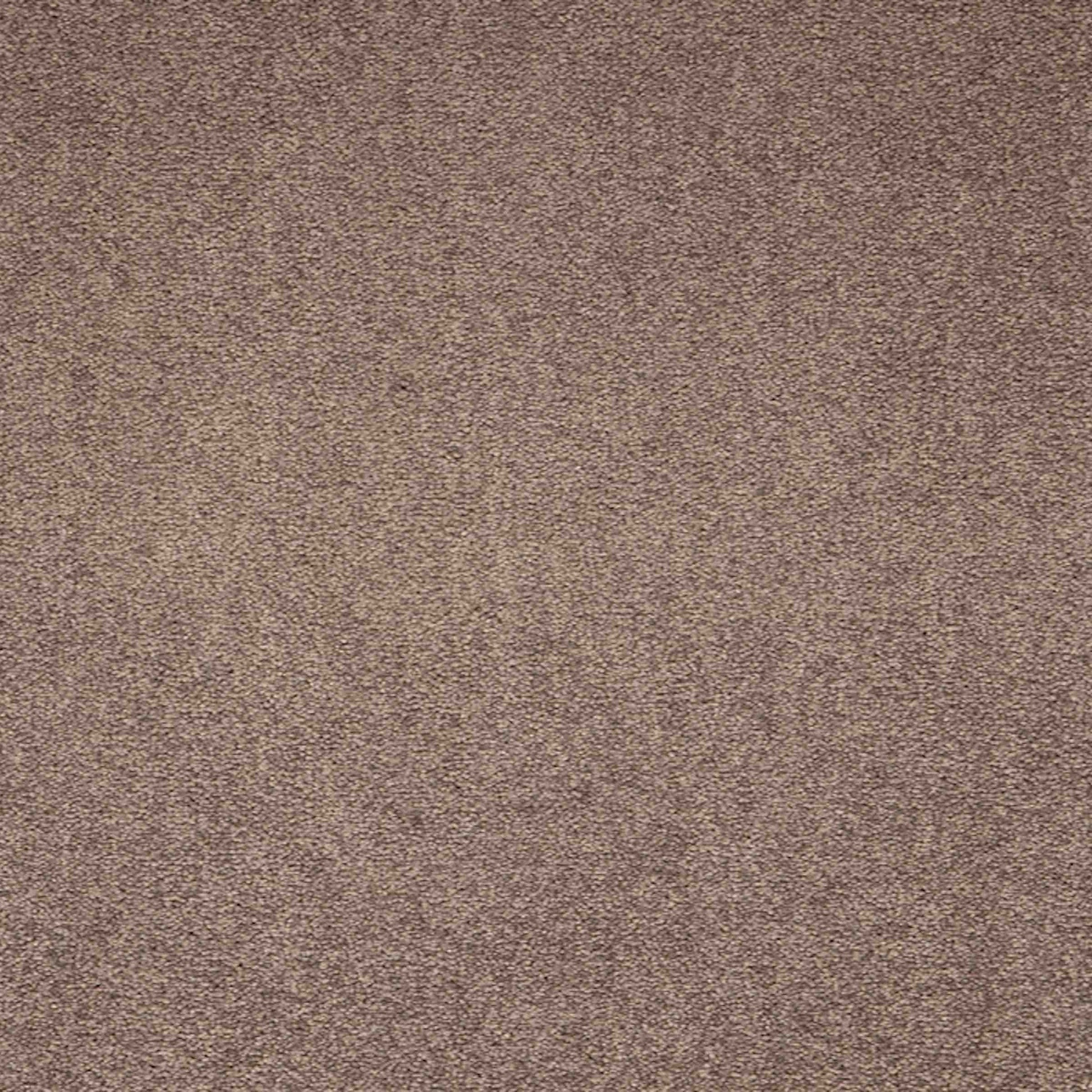 Maestro Velvet Truffle carpet tile