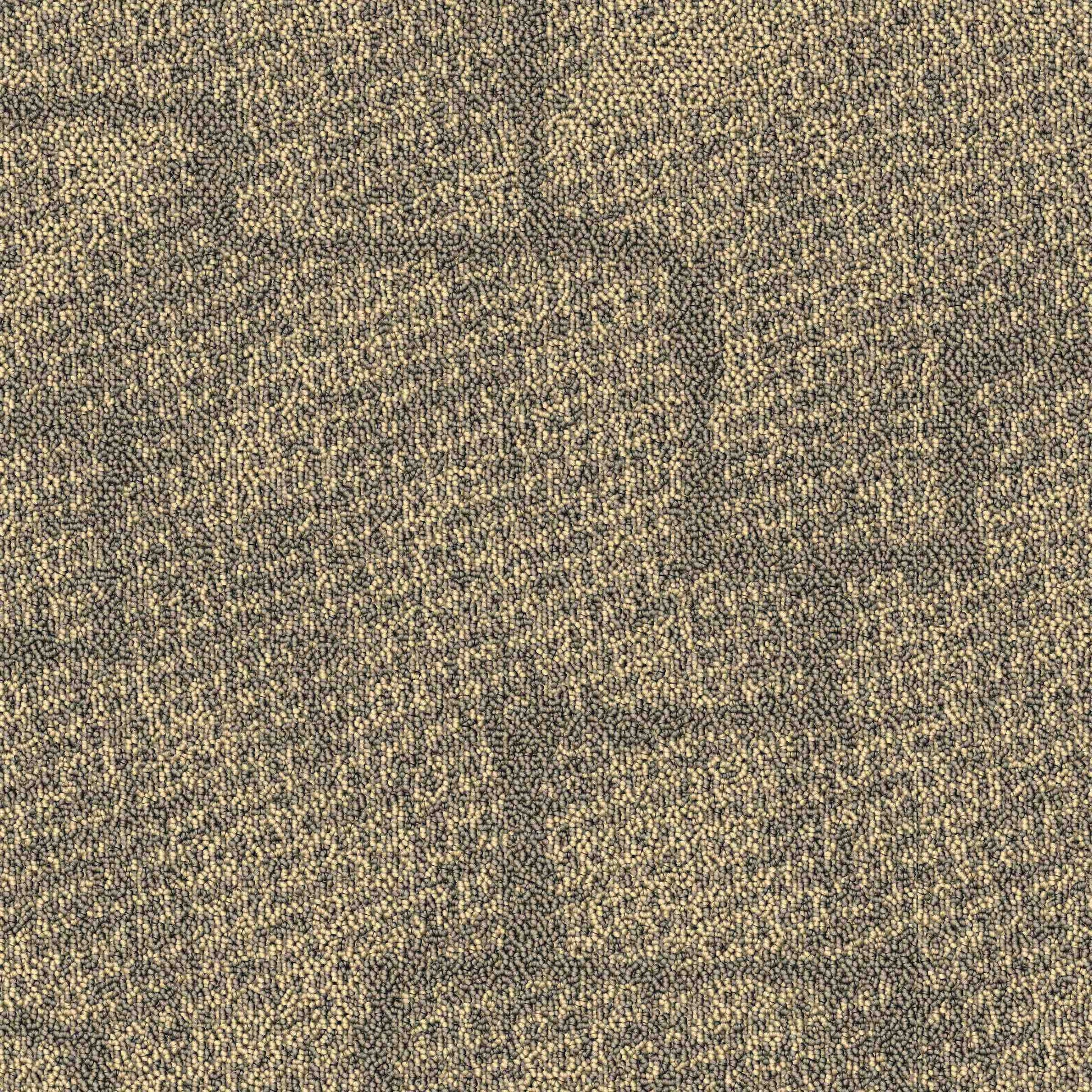 Inspiration Collection Burly Wood carpet tile