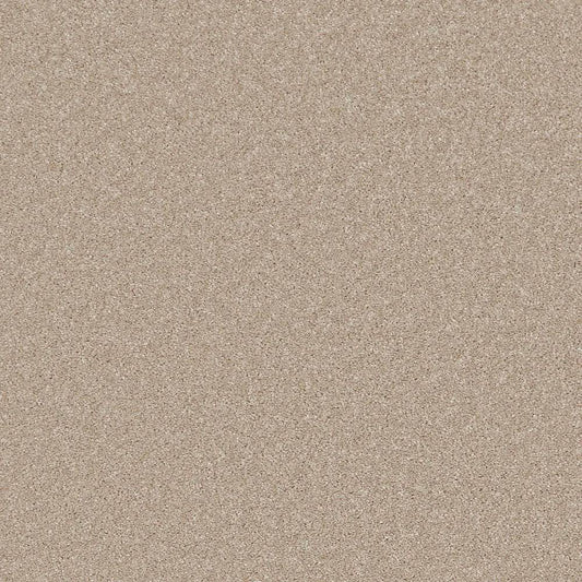 Flooring Wholesale Saxony Plus Sepia Carpet Swatch