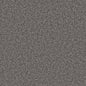 Flooring Wholesale Saxony Plus Xtra Rockface Carpet Swatch