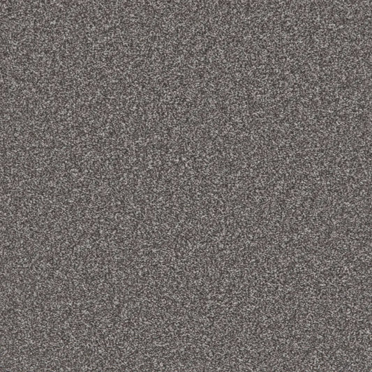 Flooring Wholesale Saxony Plus Rockface Carpet Swatch