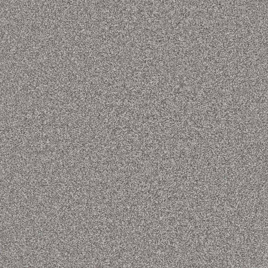 Flooring Wholesale Saxony Plus Xtra Whinstone Carpet Swatch