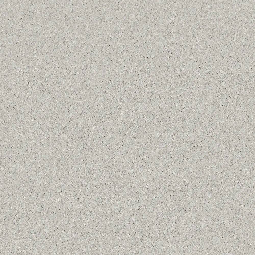 Flooring Wholesale Saxony Plus Dove Carpet Swatch