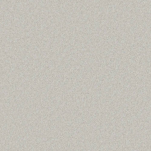 Flooring Wholesale Saxony Plus Dove Carpet Swatch