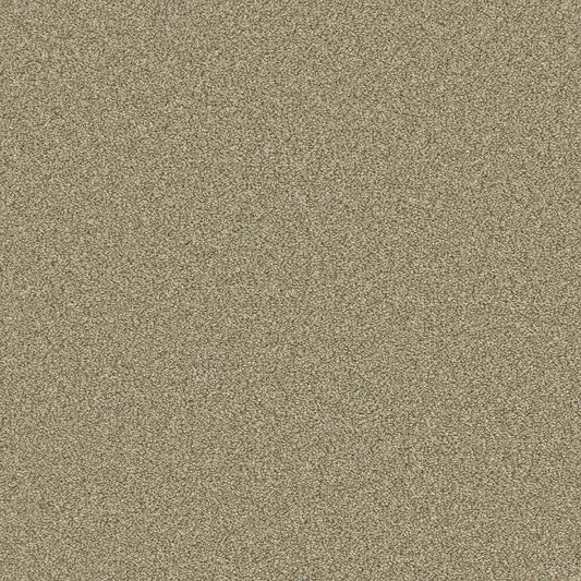 Flooring Wholesale Saxony Plus Cork Carpet Swatch