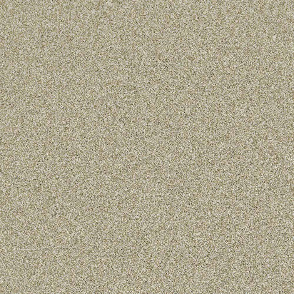Flooring Wholesale Saxony Plus Toffee Carpet Swatch