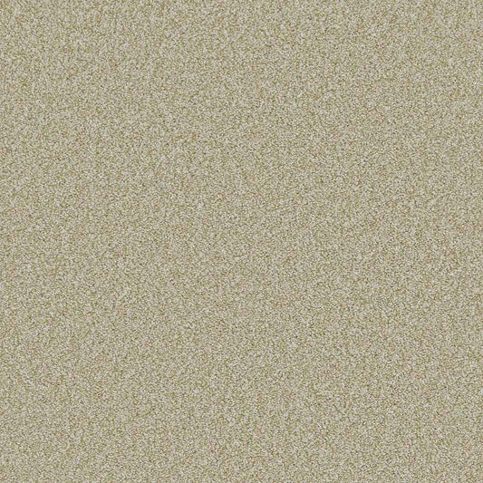 Flooring Wholesale Saxony Plus Toffee Carpet Swatch