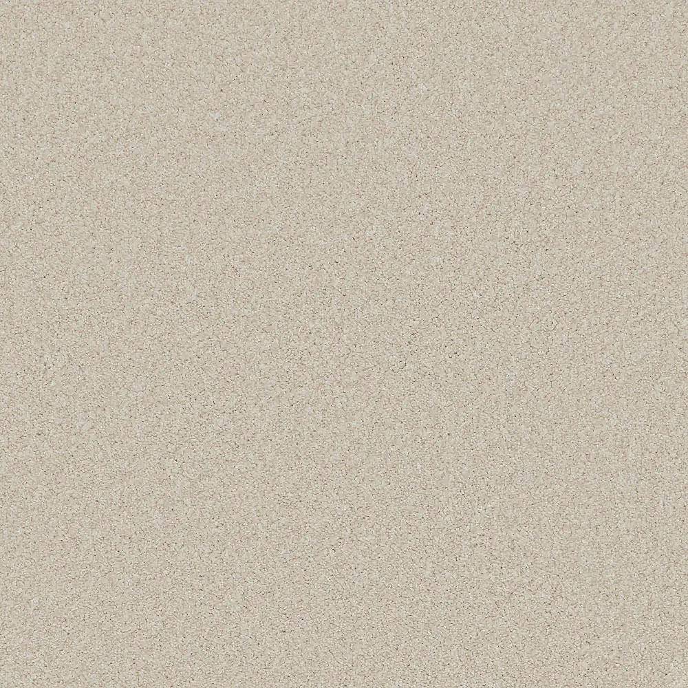 Flooring Wholesale Saxony Plus Xtra Desert Sand Carpet Swatch