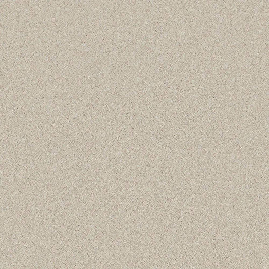 Flooring Wholesale Saxony Plus Xtra Desert Sand Carpet Swatch