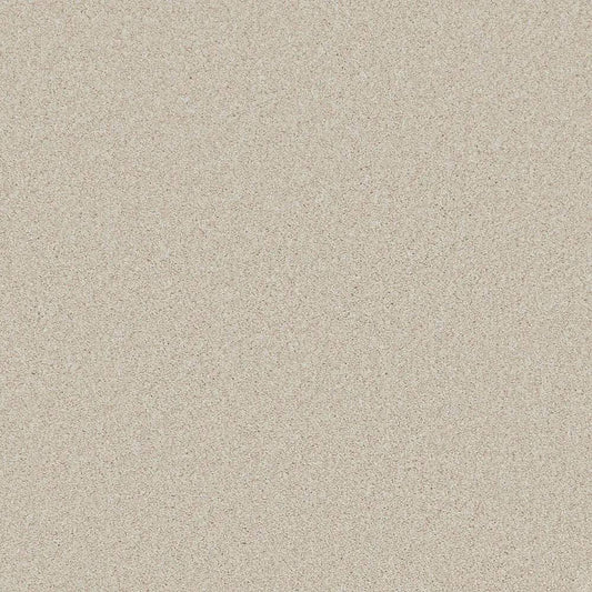 Flooring Wholesale Saxony Plus Desert Sand Carpet Swatch