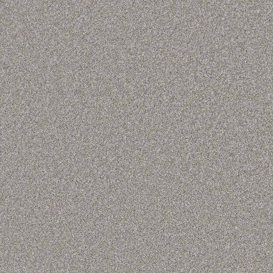 Flooring Wholesale Saxony Plus Xtra Storm Carpet Swatch
