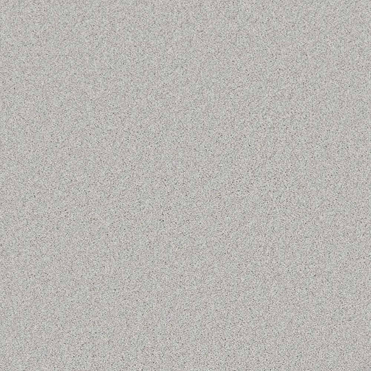 Flooring Wholesale Saxony Plus Cool Lava Carpet Swatch