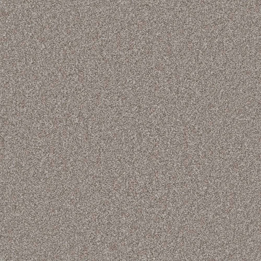 Flooring Wholesale Saxony Plus Xtra Light Ash Carpet Swatch