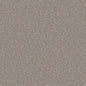 Flooring Wholesale Saxony Plus Xtra Light Ash Carpet Swatch