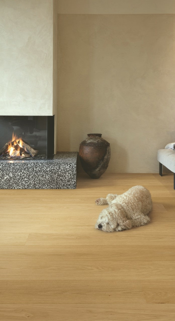 Quickstep Cala Leather Oak Extra Matt CAL6029 engineered oak