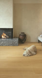 Quickstep Cala Leather Oak Extra Matt CAL6029 engineered oak
