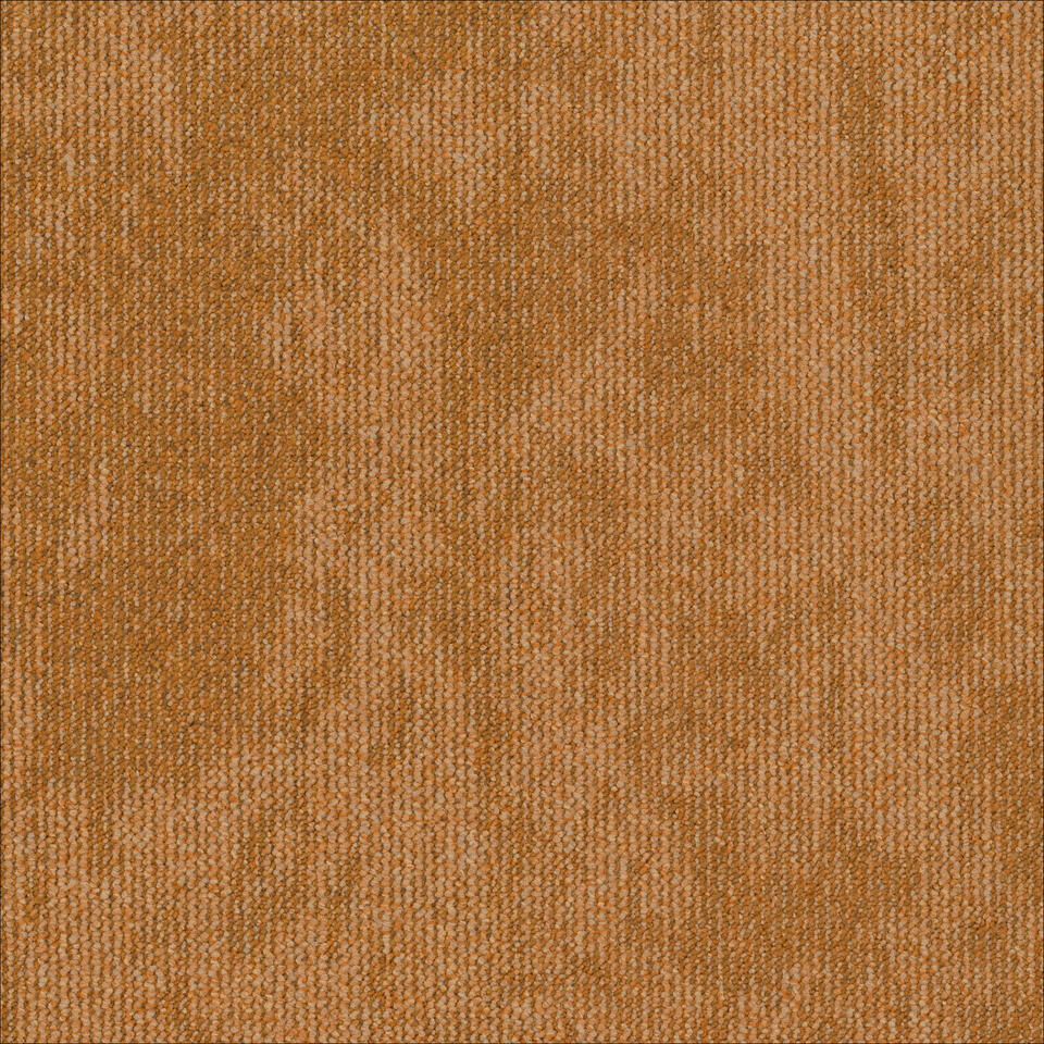 Desert 5402 carpet tile