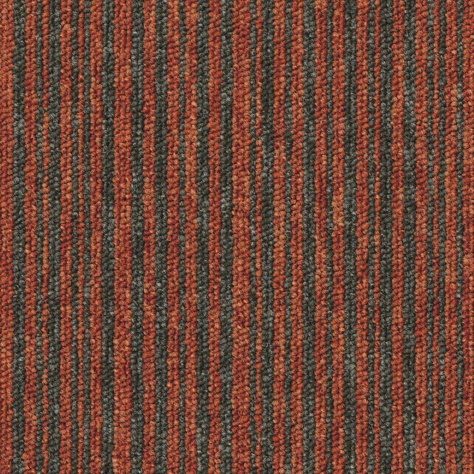 Essence Stripe 5102