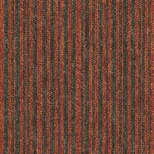 Essence Stripe 5102