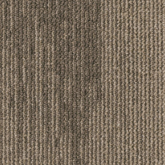 Essence Structure 1660