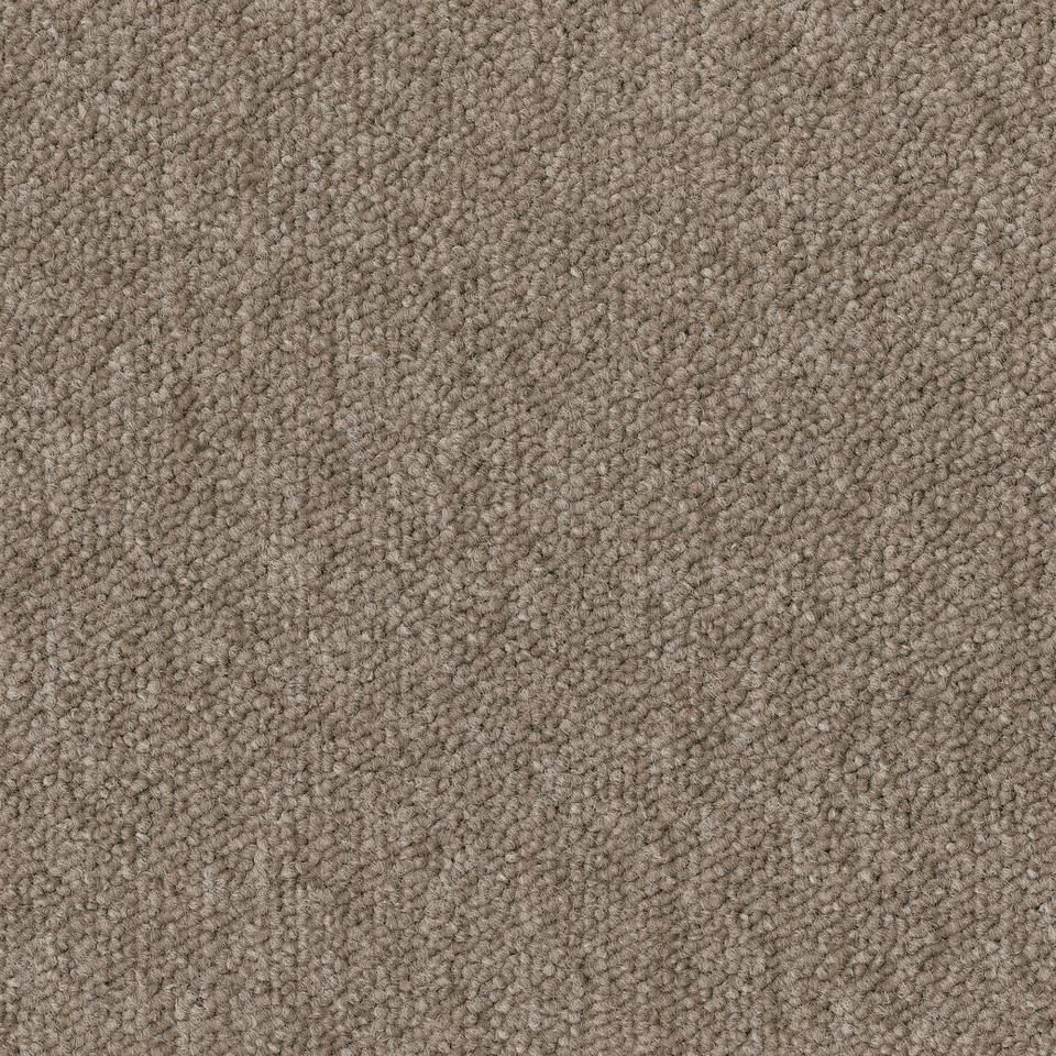 Essence 2923